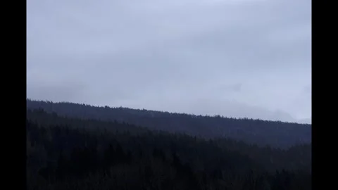 Misty Forest Landscape Under Cloudy Sky Stock Footage 303867535