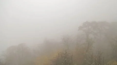 Misty Forest, Misty Mountain Stock Footage 43320720