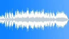 Misty Forest Morning Stock Music