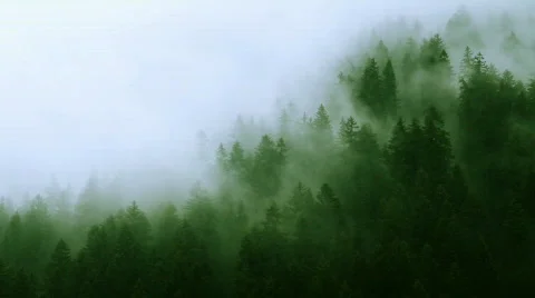 Misty Mountains Landscape Royalty Free Photo