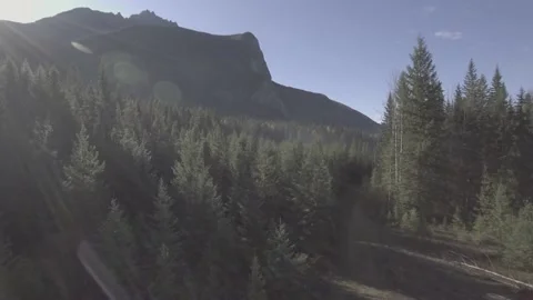 Misty Forest Mountain with Sunshine 스톡 동영상 206368830