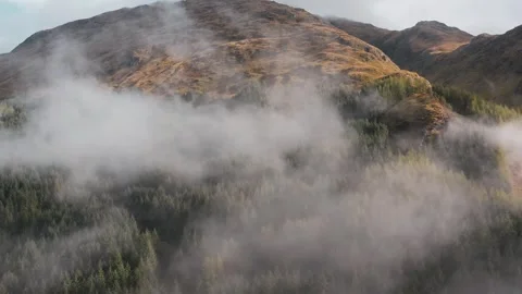 Misty forest in the mountains Stock Footage 246389802