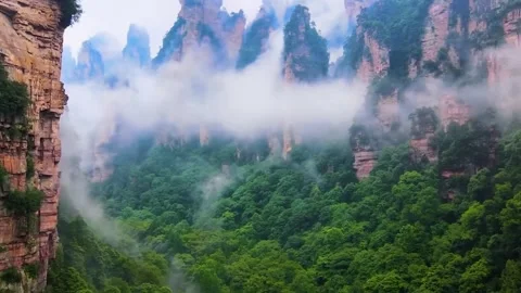 Misty Forest Mountains Stock Footage 322825331