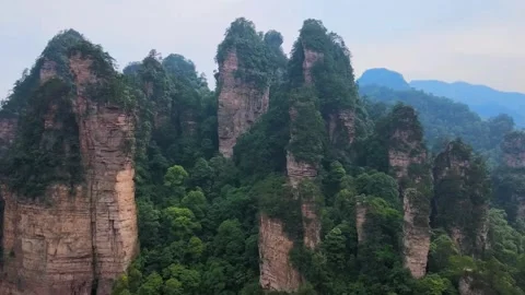 Misty Forest Mountains Stock Footage 322825335