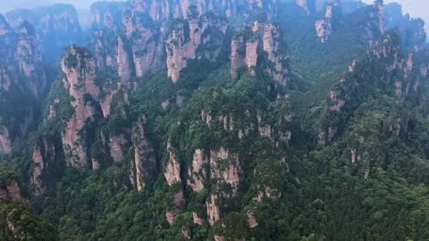 Misty Forest Mountains Stock Footage 322825659