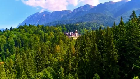 Misty Forest Mountains Stock Footage 322827546