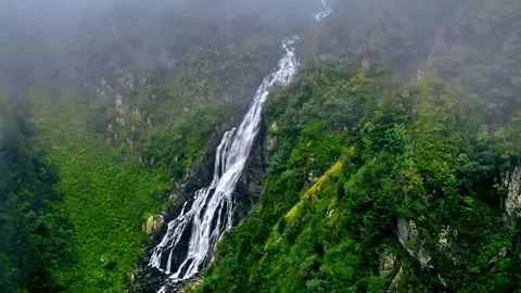 Misty Forest Mountains Stock Footage 322827654