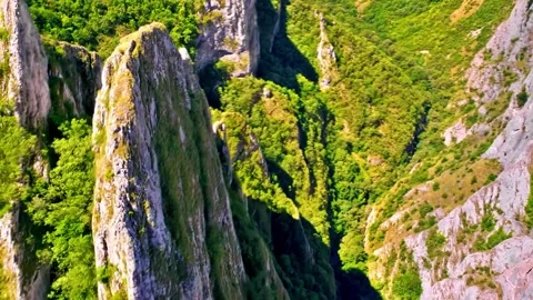 Misty Forest Mountains Stock Footage 322827695