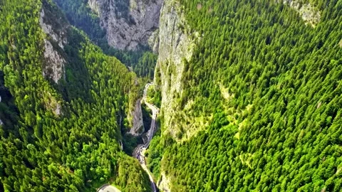 Misty Forest Mountains Stock Footage 322828175