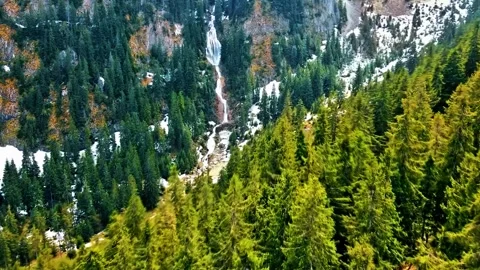 Misty Forest Mountains Stock Footage 322828313