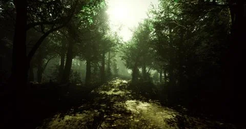Misty forest path at dawn with soft sunlight filtering through leaves Stock Illustration
