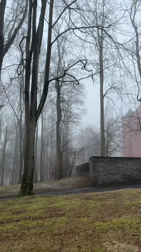 Misty Forest Path by Historic Wall in Auerbach Stock Footage 328928208