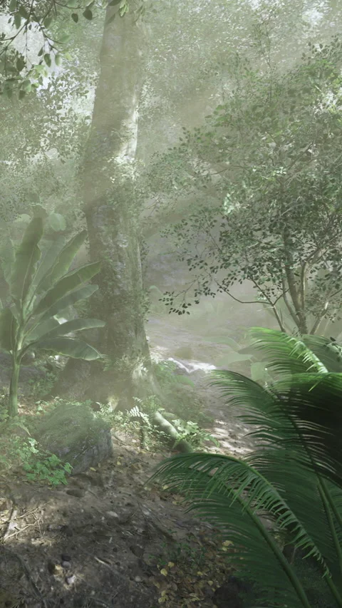 Misty forest path inviting adventure in a lush, green paradise 스톡 동영상 341418552