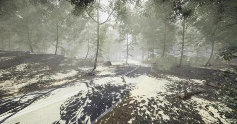 Misty forest path with soft sunlight filtering through tree canopy Stock Illustration