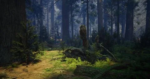 Misty forest path surrounded by towering trees and lush greenery in daylight Stock Illustration
