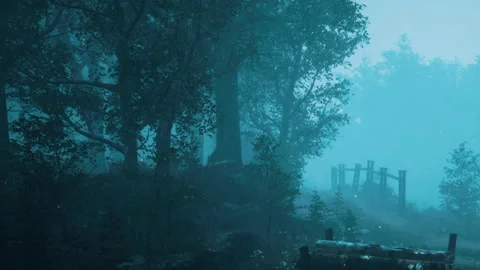 Misty forest path with trees and faint lights at twilight Stock Footage 340233412