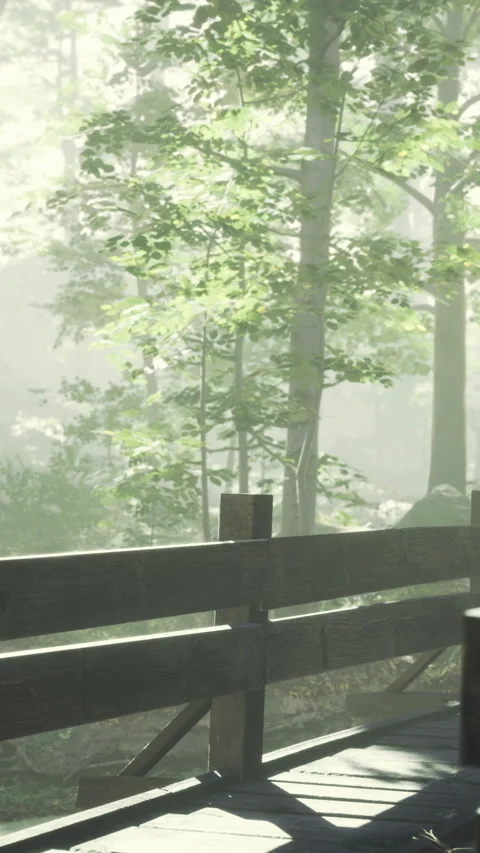Misty forest path welcomes serene wanderers at dawn in vibrant spring Stock Footage 335233440