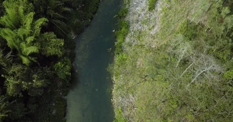 Misty forest river landscape captured from aerial drone perspective Stock Footage 332886428