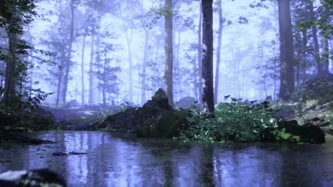 Misty forest scene. Dusk shadows dance over peaceful blue waters in forest Stock Footage 341583323