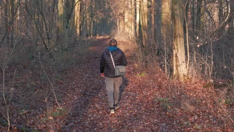 A misty forest scene with a man strolling at sunset, shuffling autumn leave.. Video stock 299244623