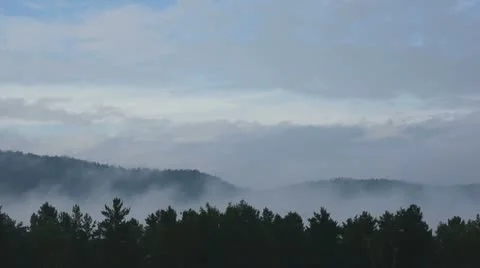 Misty Forest Skyline Timelapse Stock Footage 11660815