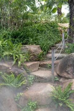 Misty Forest Stone Steps. Stock Photos