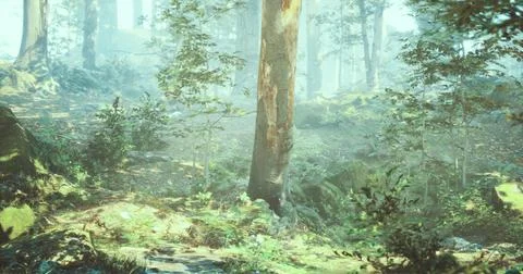 Misty forest with sunlight filtering through trees in serene morning atmosphe Stock Illustration
