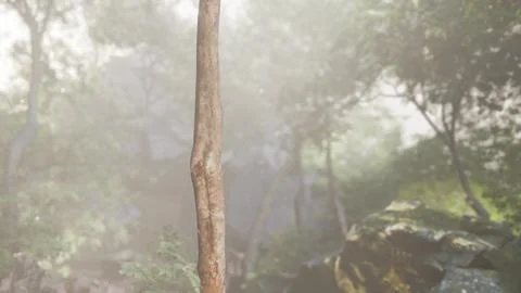 Misty Forest Tree Standing Alone Stock Illustration