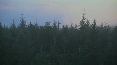 Misty forest under soft evening sky in Smoky Mountains serene forest of Stock Footage 294295674