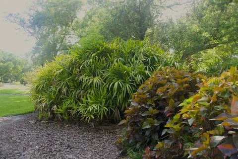 Misty Garden Path 스톡 사진