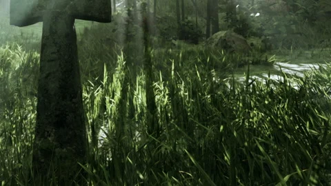 Misty Graveyard Scene Filled With Lush Grass Under Soft Sunlight Stock Footage 344822206