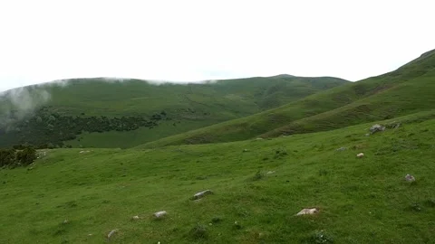 Misty hiking day in the mountains Stock Footage 133285331