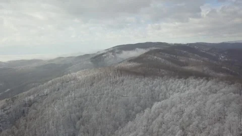 Misty hill Video stock 313384690