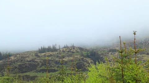 Misty hills 動画素材 50377978