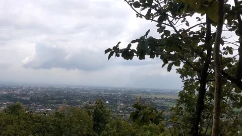 Misty Hillside View Stock Footage 329476392