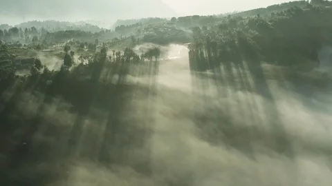 Misty jungle and light rays piercing through trees and clouds , Indonesia Stock Footage 113502475