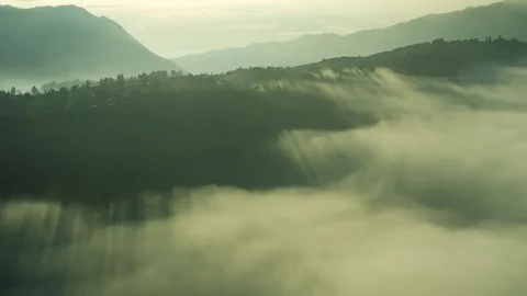 Misty jungle and light rays piercing through trees and clouds , Indonesia Stock Footage 113502566