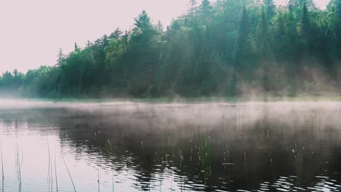 Misty Lake and Forest in Soft Morning Light Stock Footage 324568898