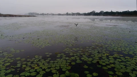 Misty Lake Drone Stock Footage 129388325