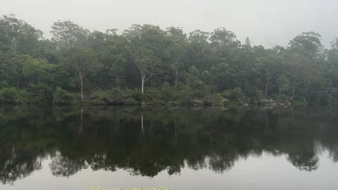 Misty lake Stock Footage 332920731