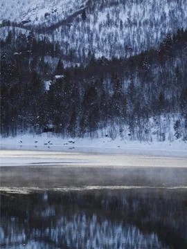 Misty lake Stock Photos