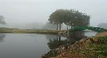 Misty Lake Pond & Bridge HD Footage