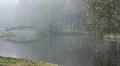 Misty Lake Pond & Bridge HD Footage