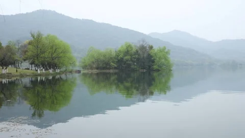 Misty Lake Reflection with Green Trees and Mountains Stock Footage 340148588