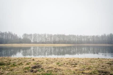Misty lake with tree reflections Stock Photos
