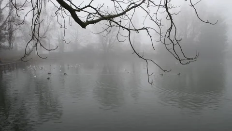 Misty lake in Winter. Stock Footage 145790327