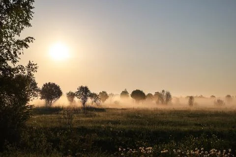 Misty landscape at dawn Stock Photos