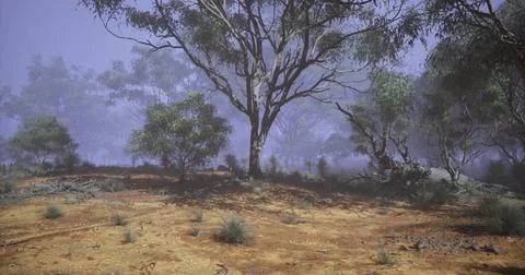 Misty landscape with eucalyptus trees in a serene outdoor setting Stock Illustration