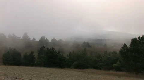 Misty landscape Stock-Footage 959218