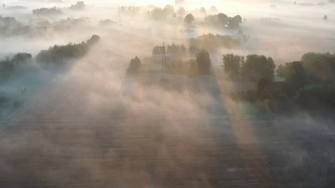 Misty landscape with groves and fields  after sunrise, aerial Video stock 119477463